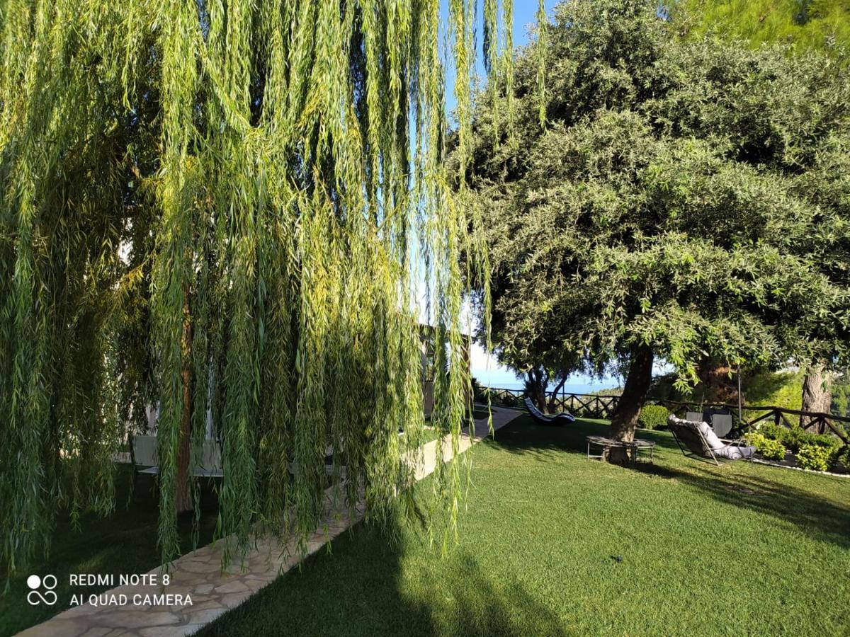 B&B Volver Пескичи Экстерьер фото